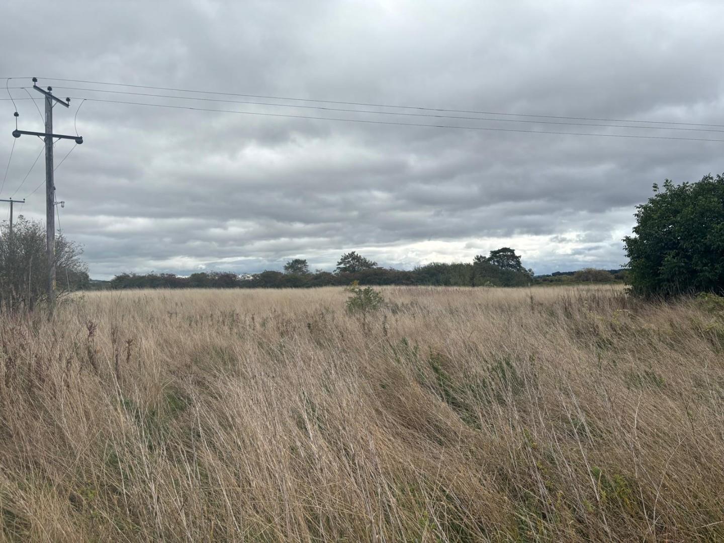 Image of Wellington, Hereford